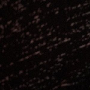 Meet your Posher, Jhonny